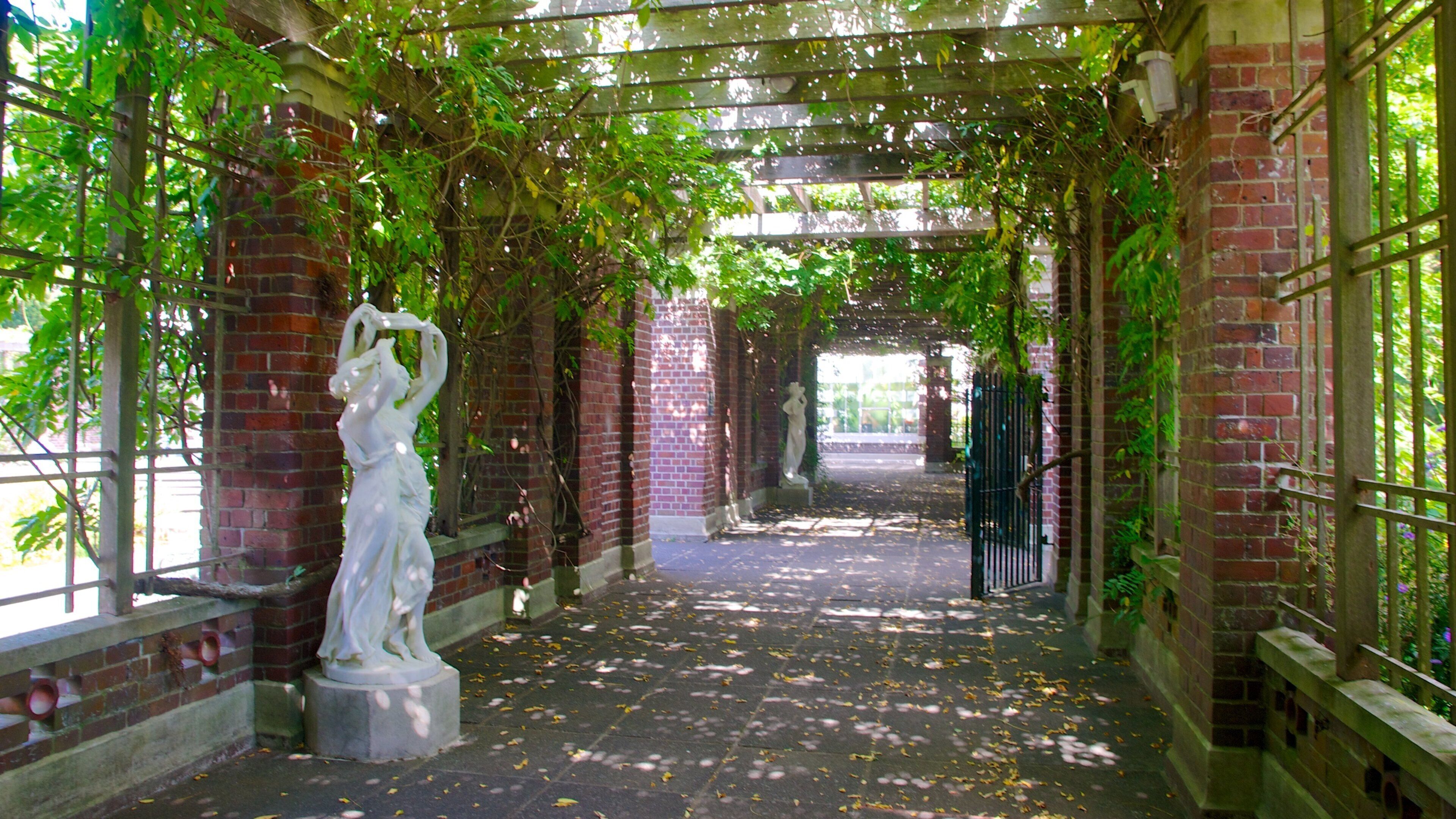 奥克兰中央公园