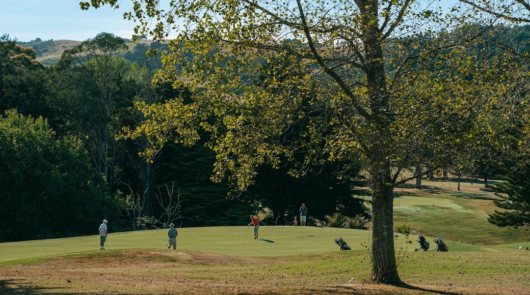 Auckland Domain showing golf as well as a small group of people