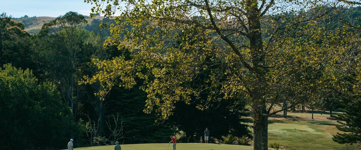Auckland Domain showing golf as well as a small group of people
