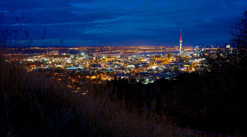 Mt. Eden featuring cbd, skyline and a city