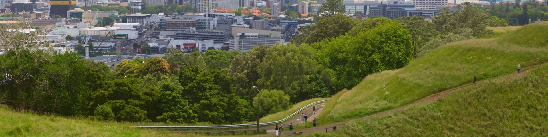 Mt. Eden which includes landscape views and a city