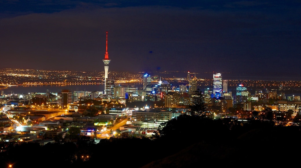 Mt. Eden which includes a city, night scenes and a skyscraper