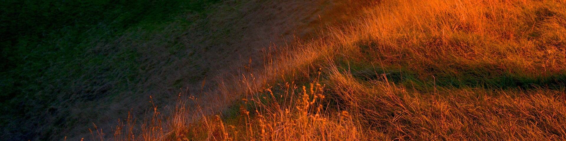 Mt. Eden which includes landscape views and tranquil scenes