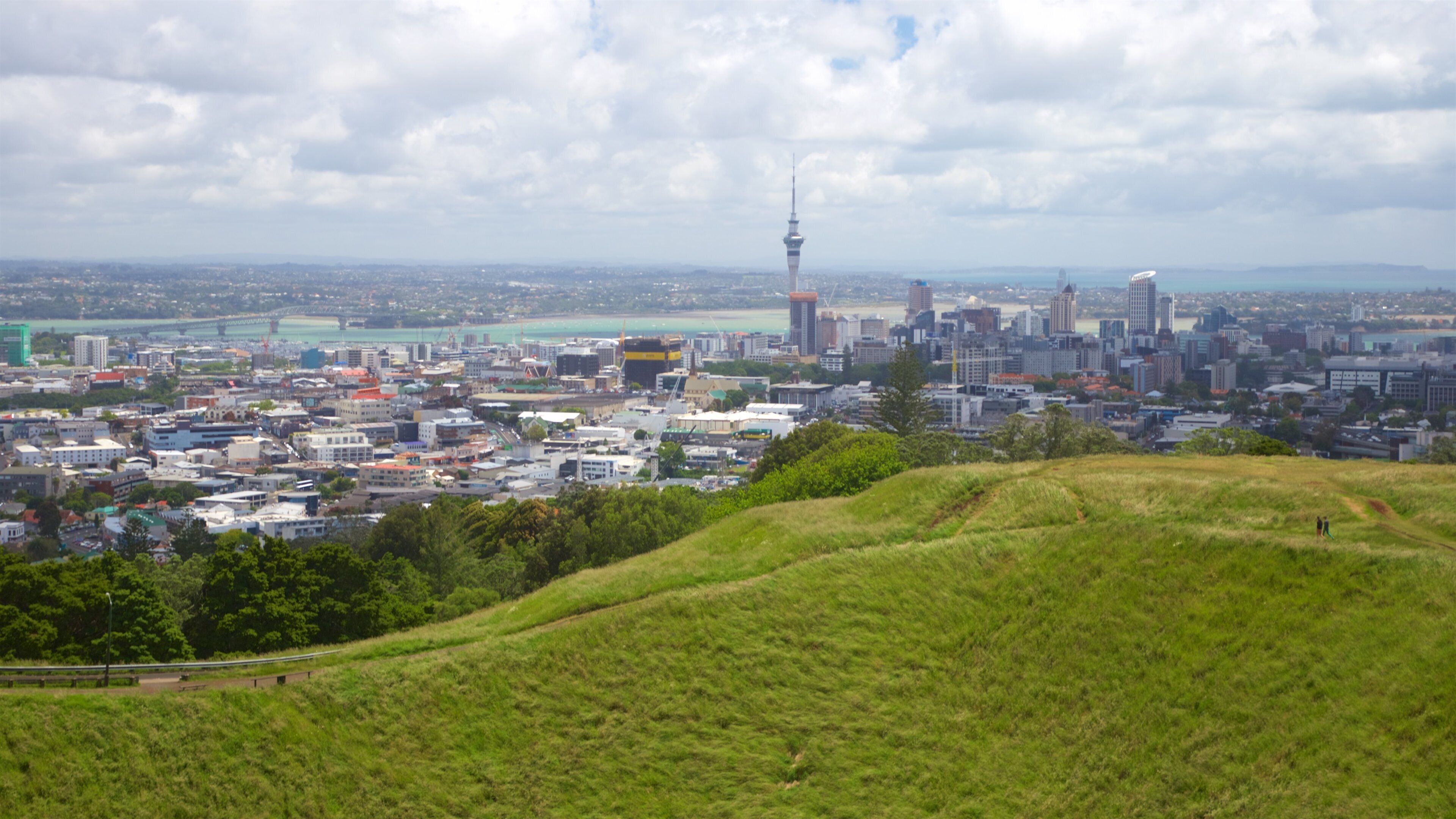 Mt. Eden featuring landscape views and a city