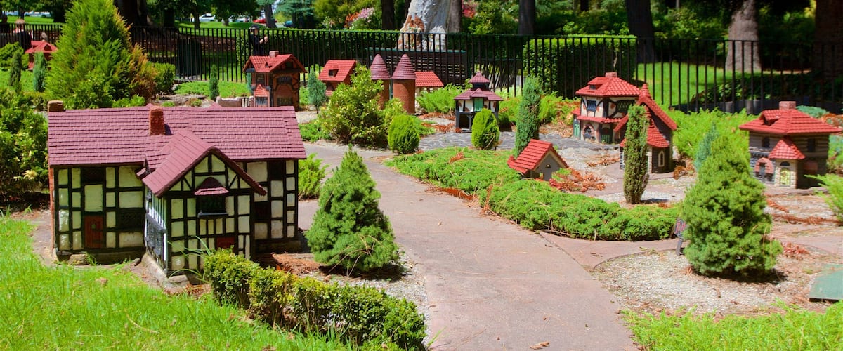 Fitzroy showing a garden
