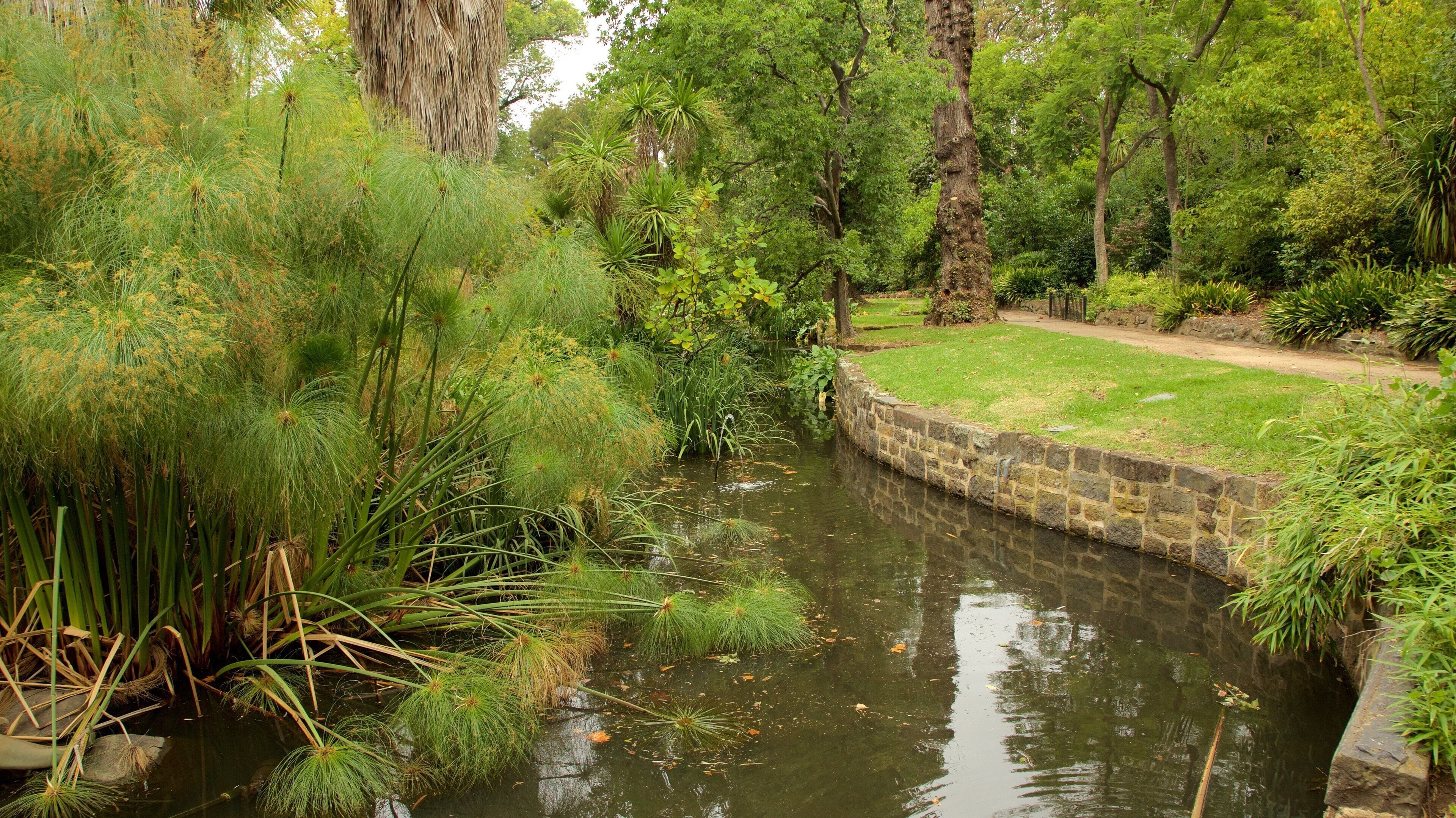 Fitzroy Gardens which includes a park and a river or creek