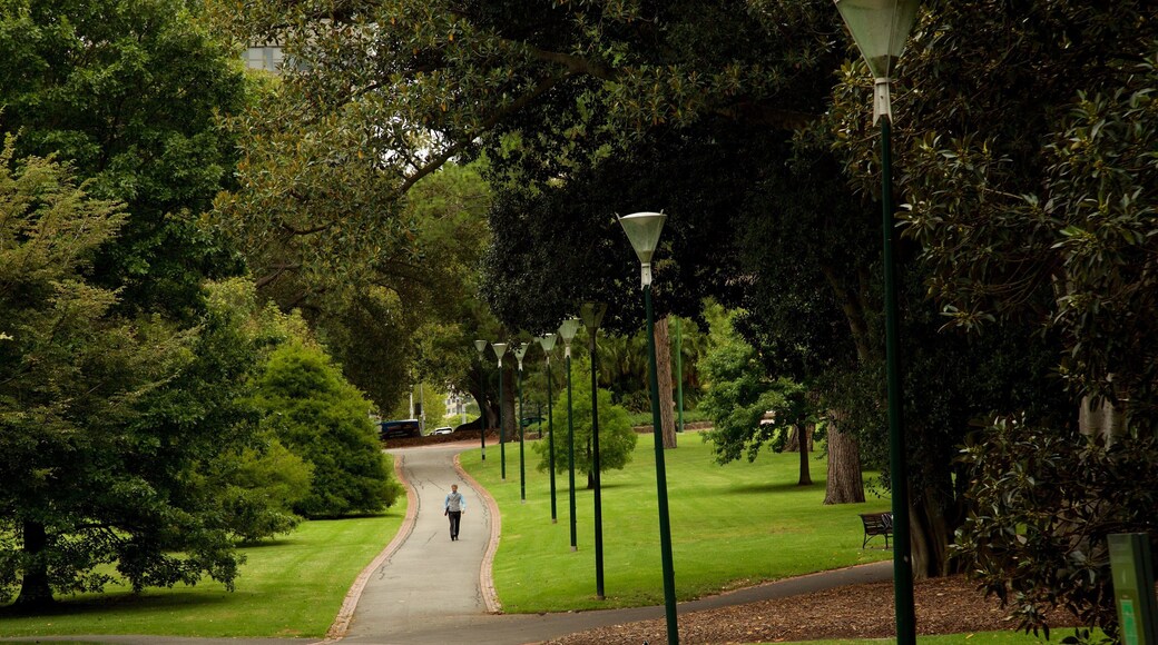 Fitzroy Gardens featuring a park