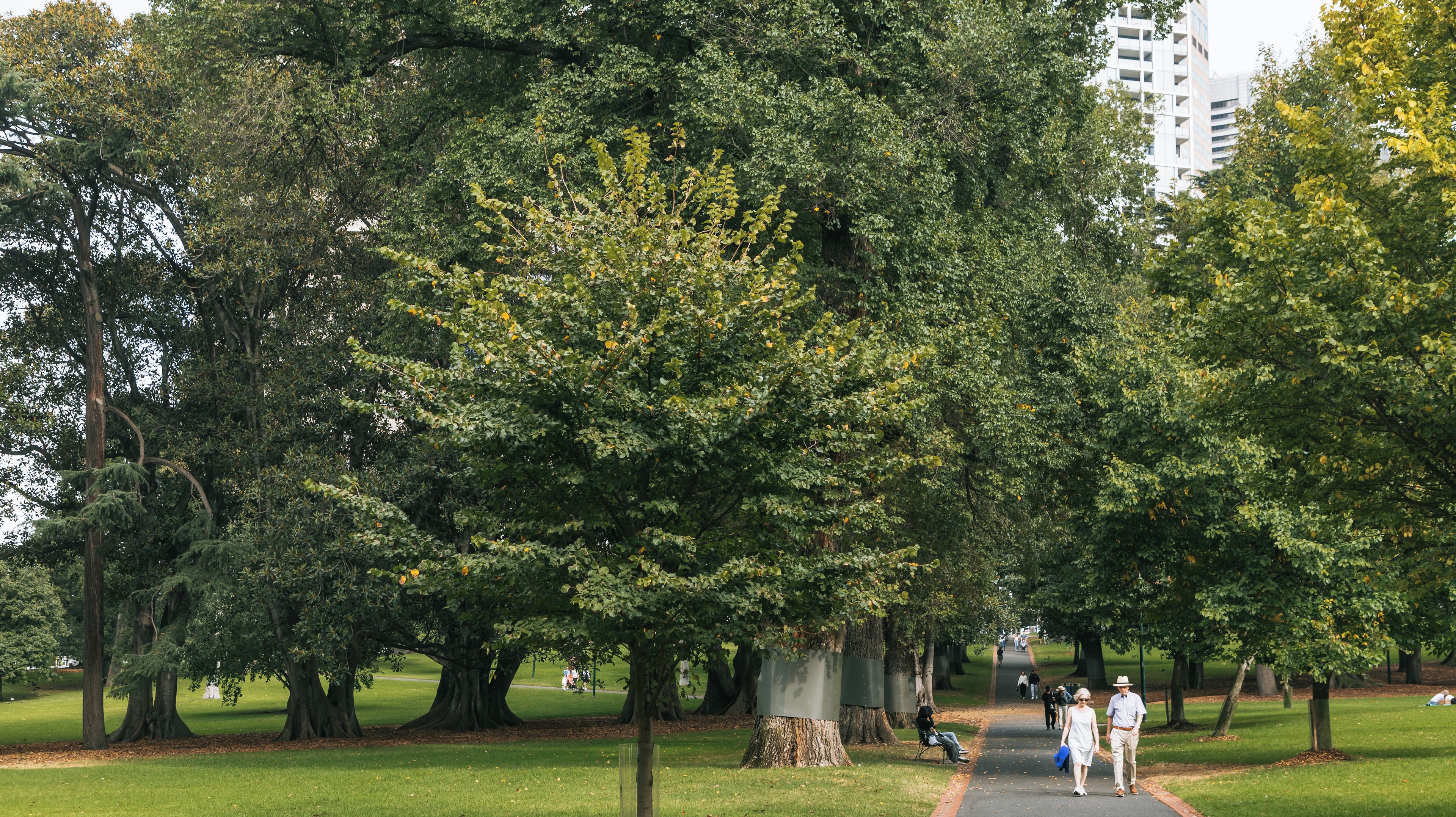 Treasury Gardens