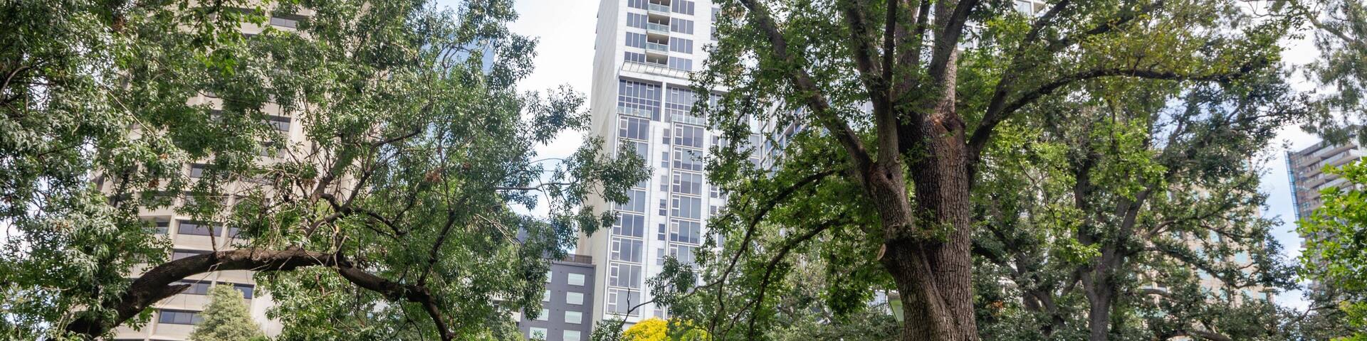 Treasury Gardens featuring a park and a city