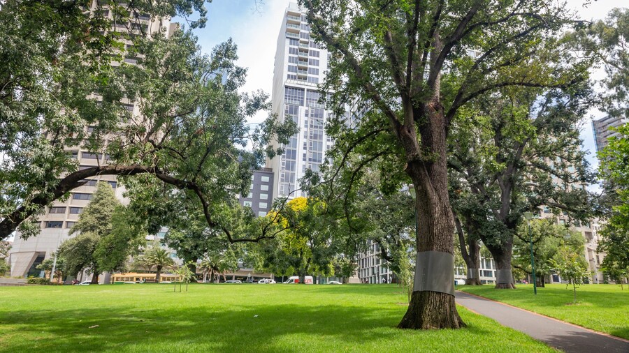 Treasury Gardens featuring a park and a city