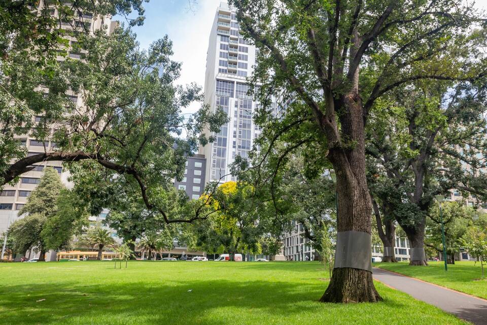 Een park met grote bomen, een pad en moderne gebouwen op de achtergrond.