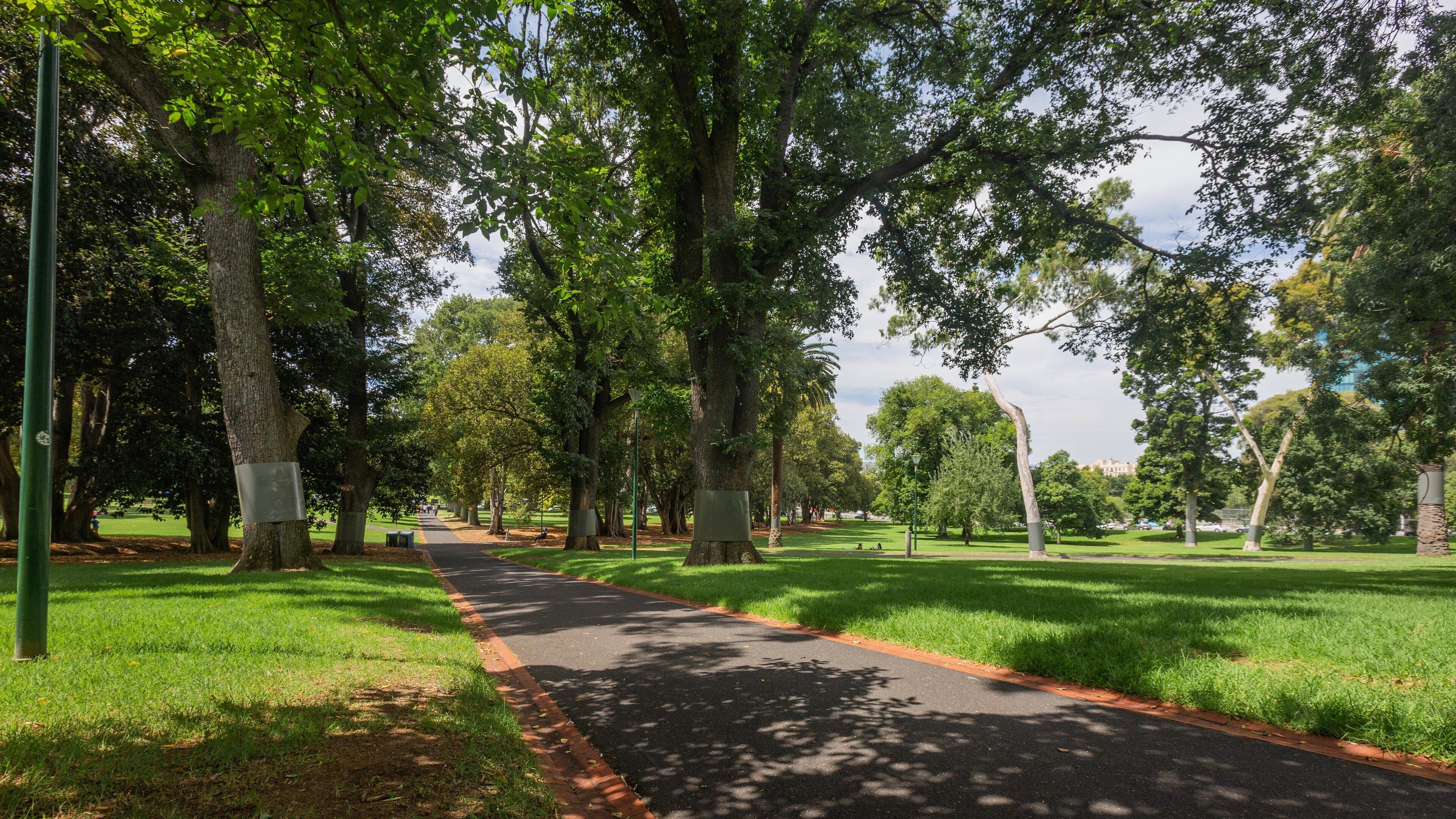 Treasury Gardens showing a garden