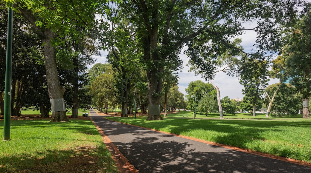 Treasury Gardens showing a garden