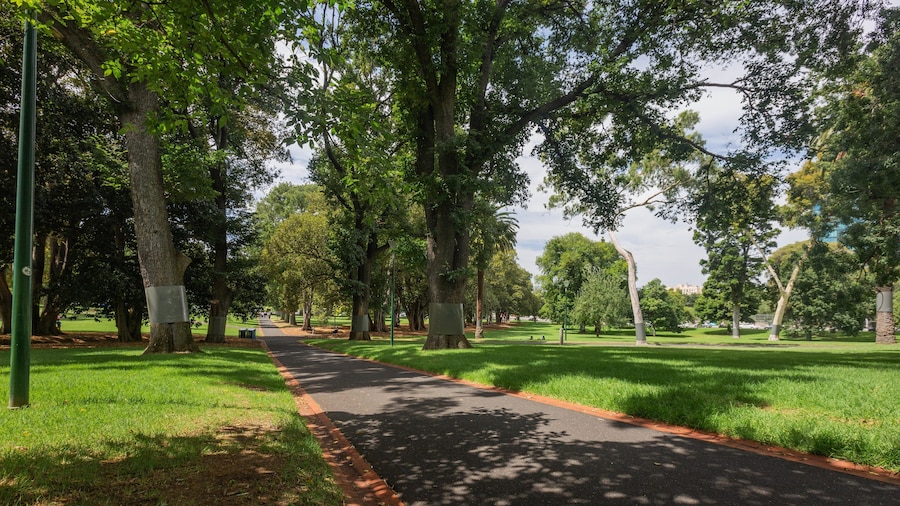 Treasury Gardens showing a garden