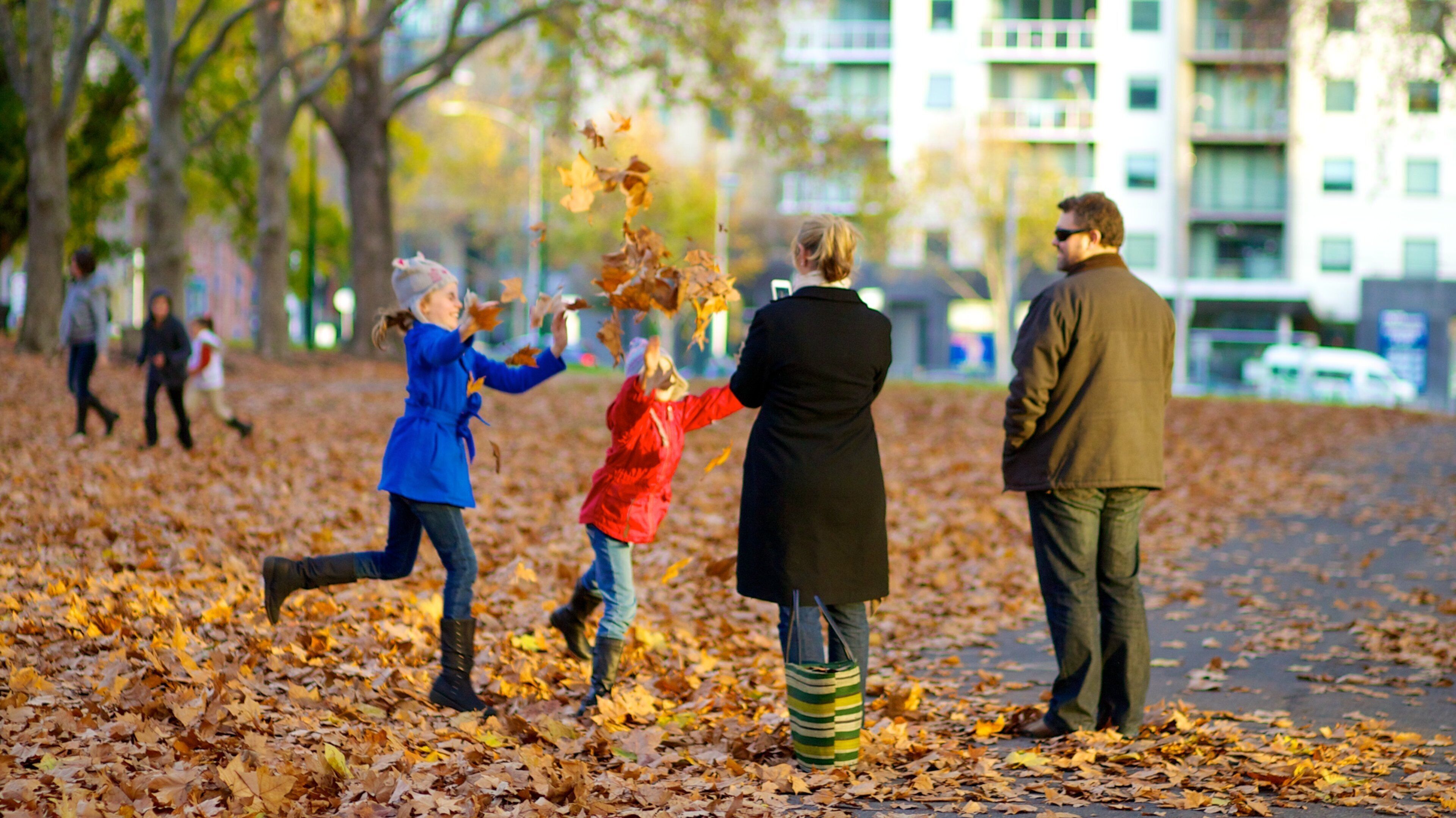 Carlton Gardens แสดง สีสันฤดูใบไม้ร่วง และ สวนสาธารณะ ตลอดจน ครอบครัว