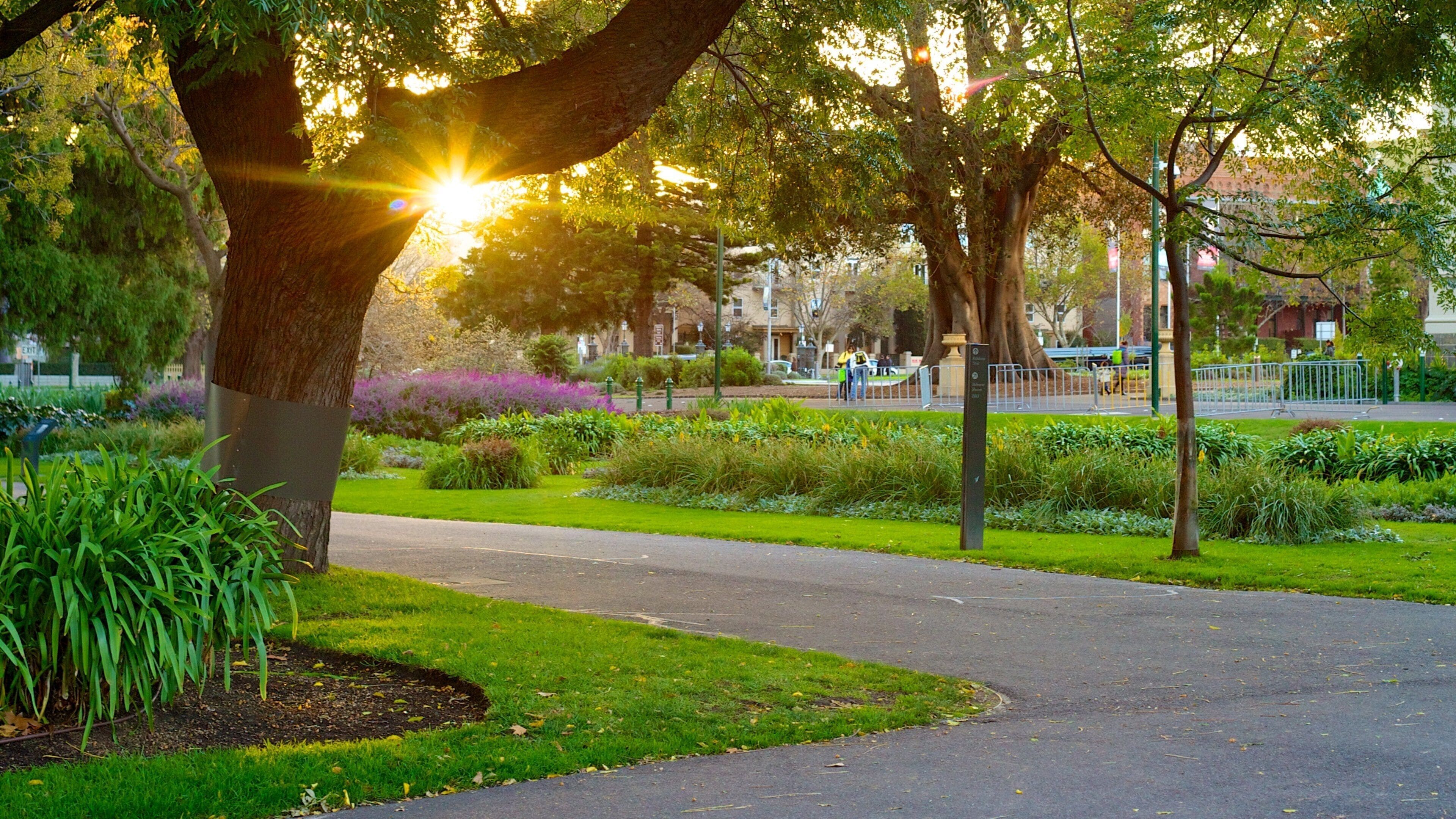 Carlton Gardens featuring a sunset and a garden
