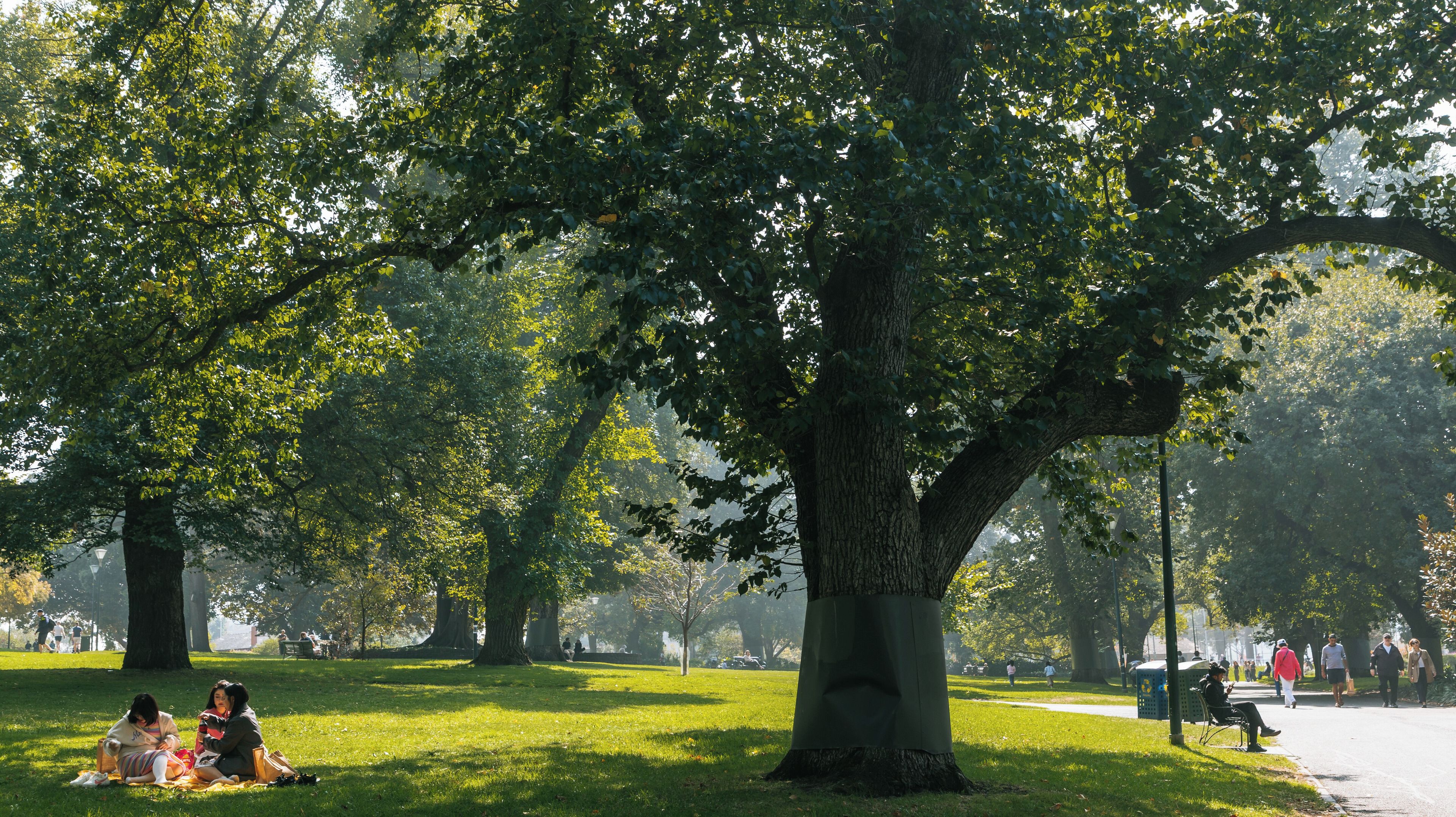 Flagstaff Gardens