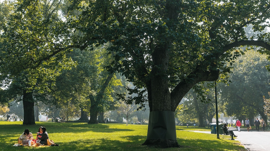 Taman Flagstaff