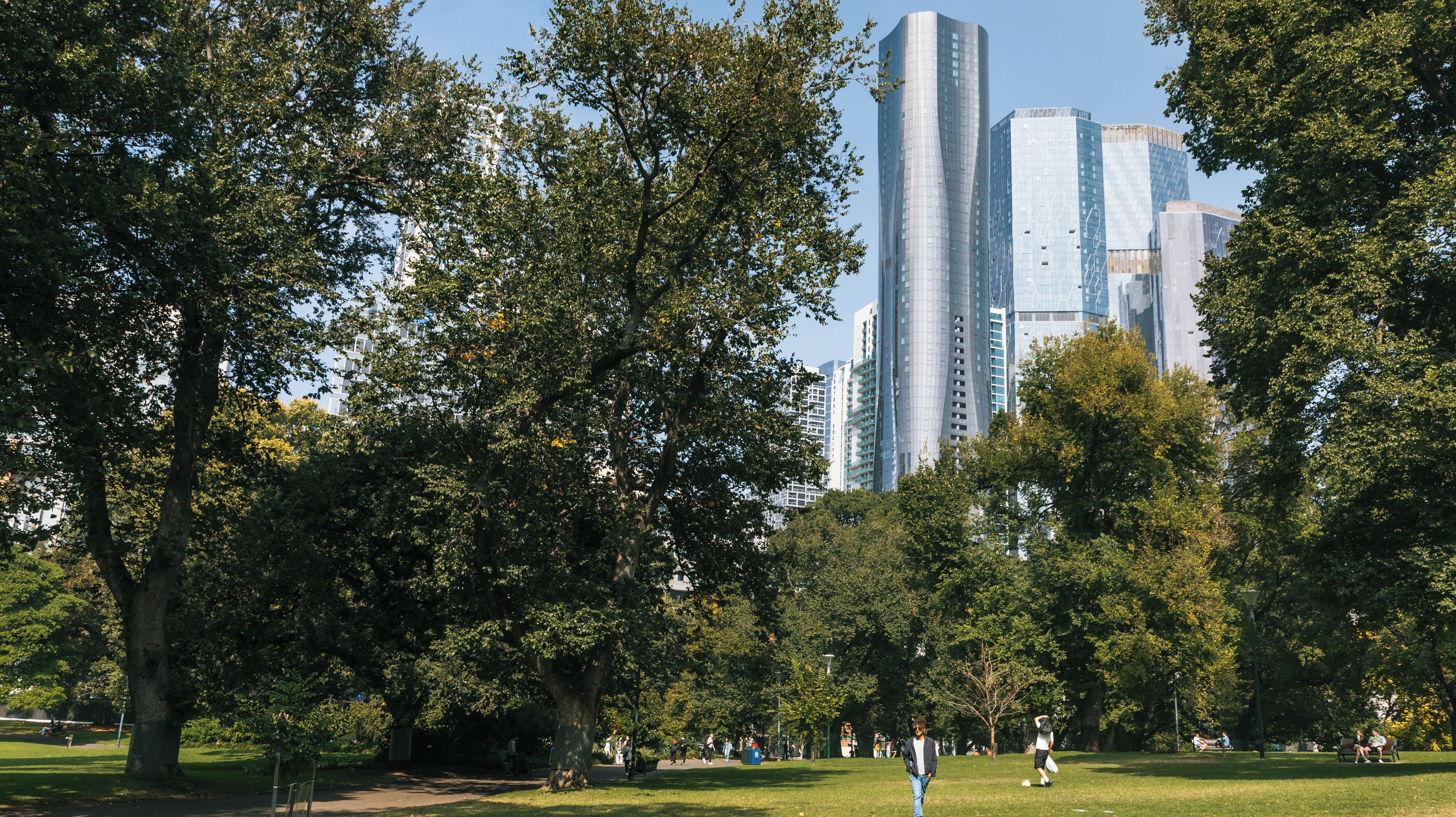 Un parque con edificios altos al fondo.
