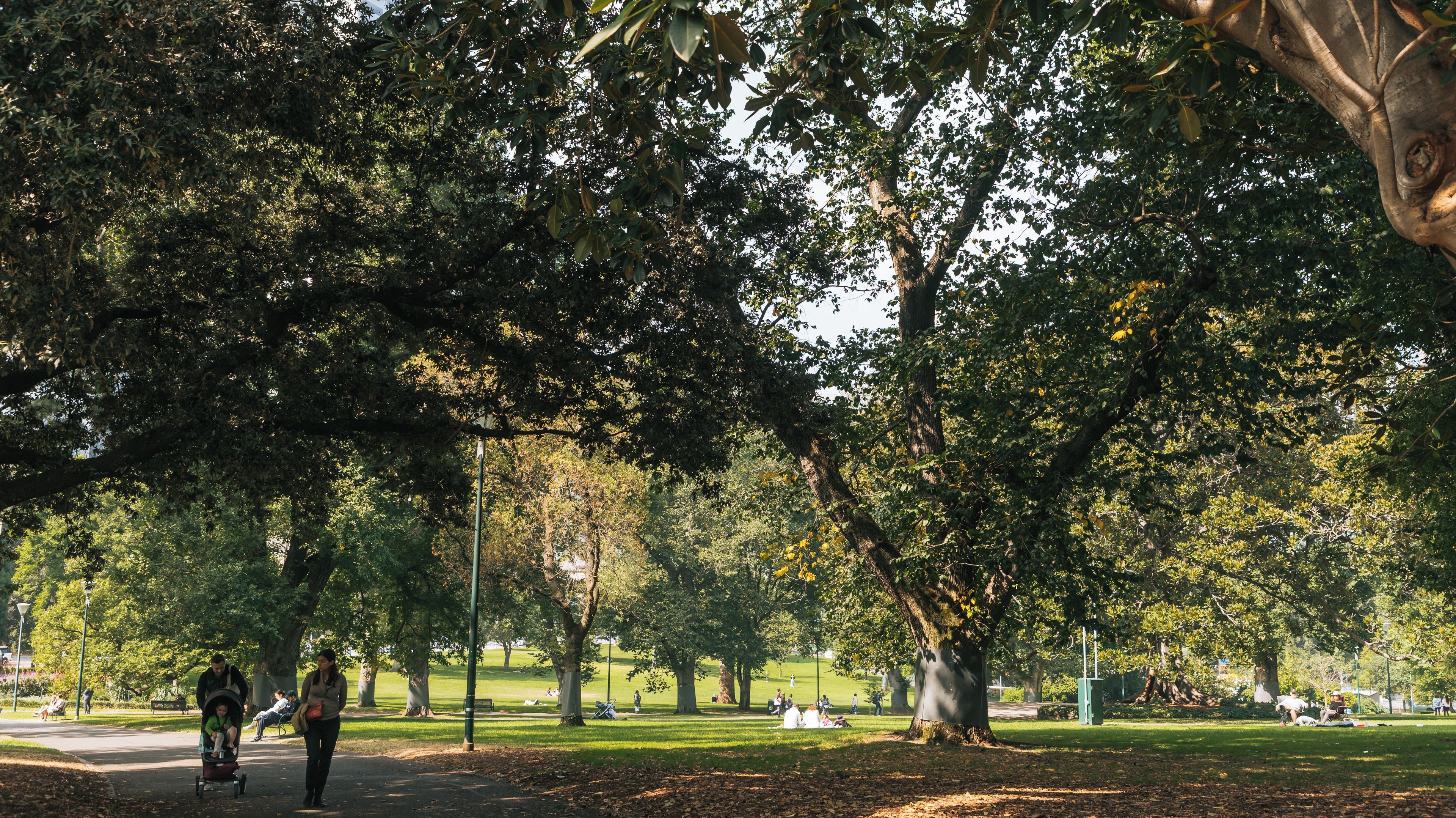 Un parque con árboles grandes, un cochecito de bebé y personas caminando.