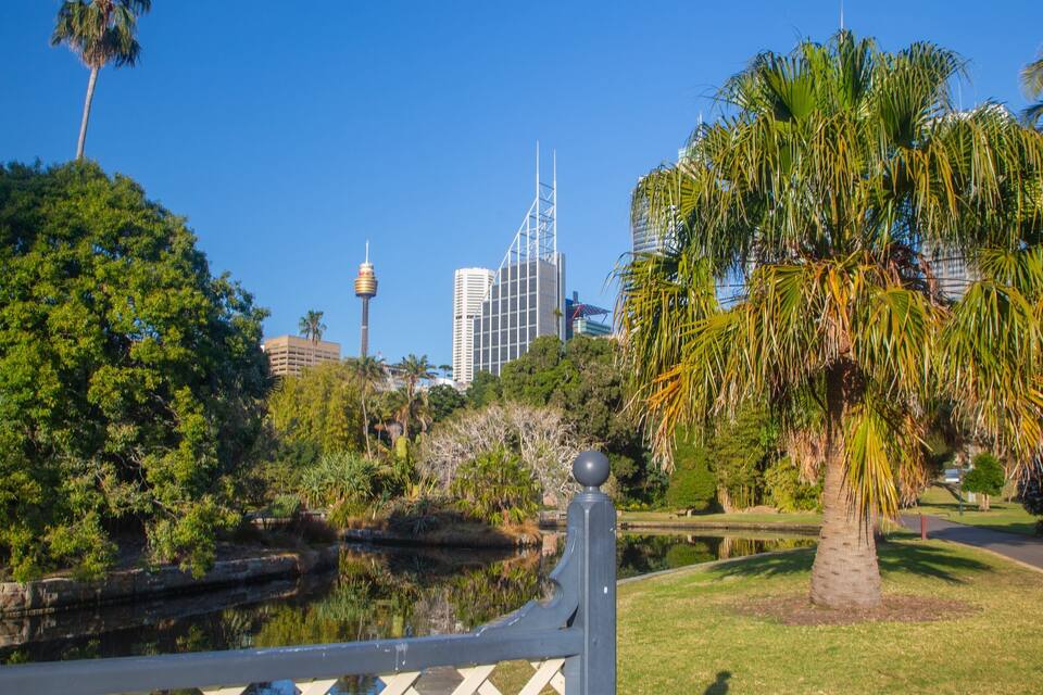 A park with a pond, palm trees, and modern buildings in the background.