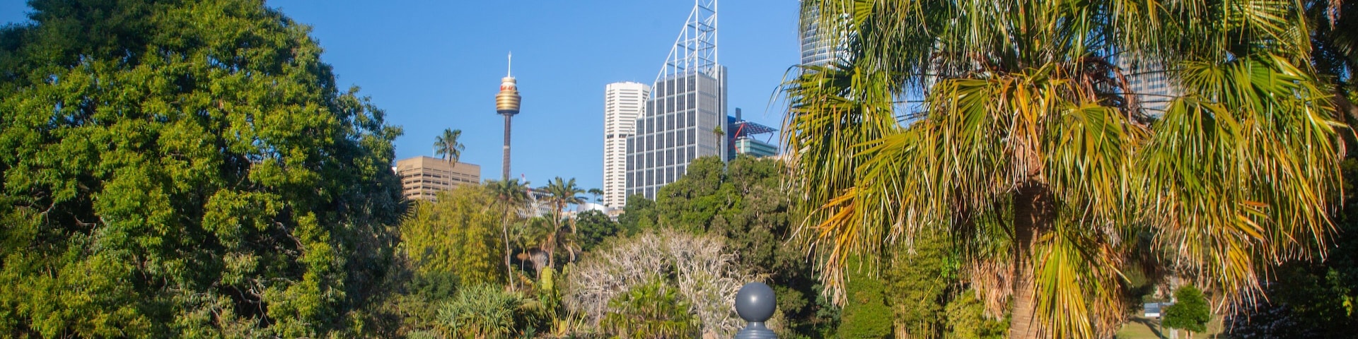 Royal Botanic Gardens showing a park and a pond