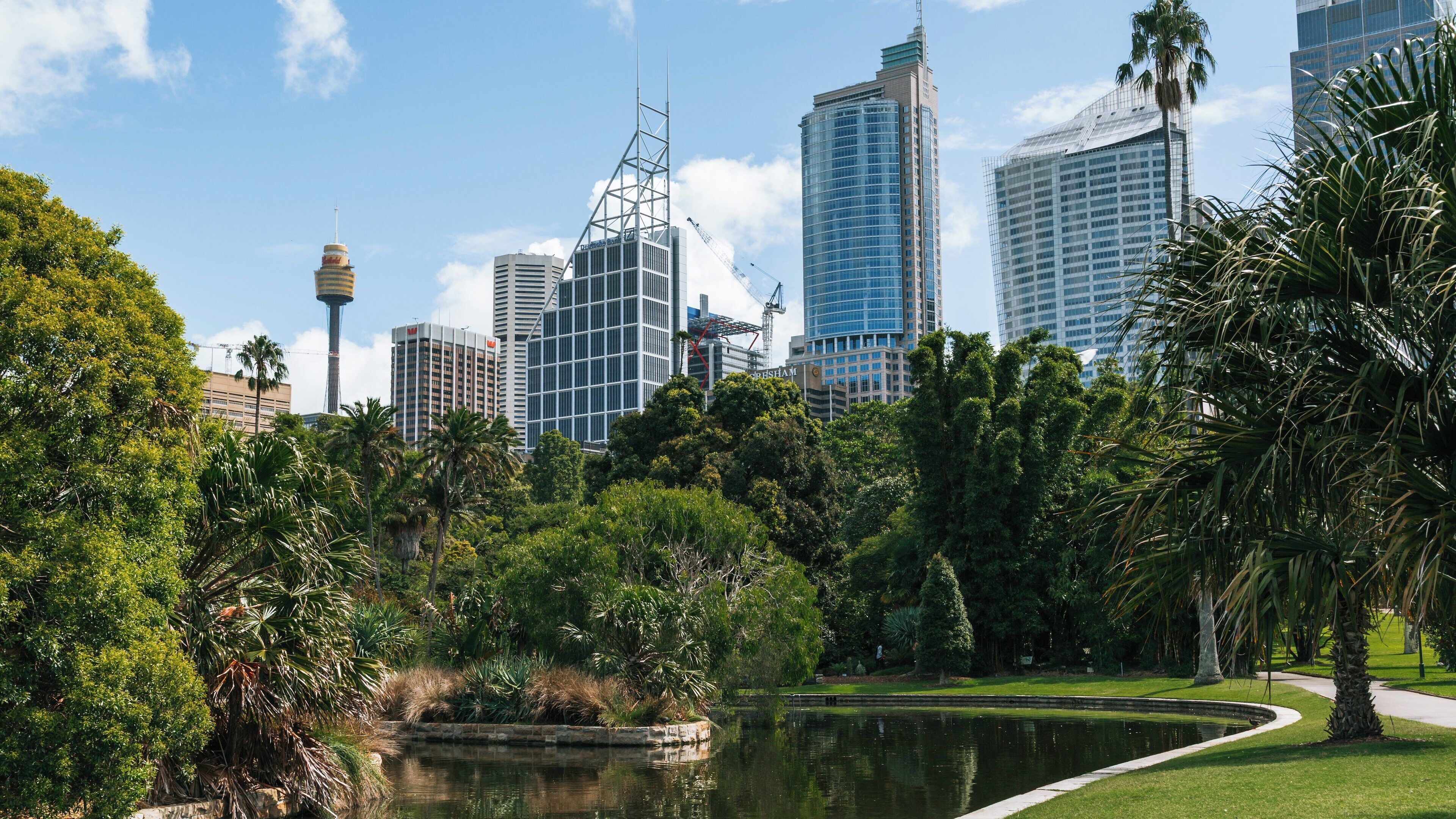 Exploring the lush greenery of Royal Botanic Gardens alongside Sydney's towering skyscrapers in New South Wales