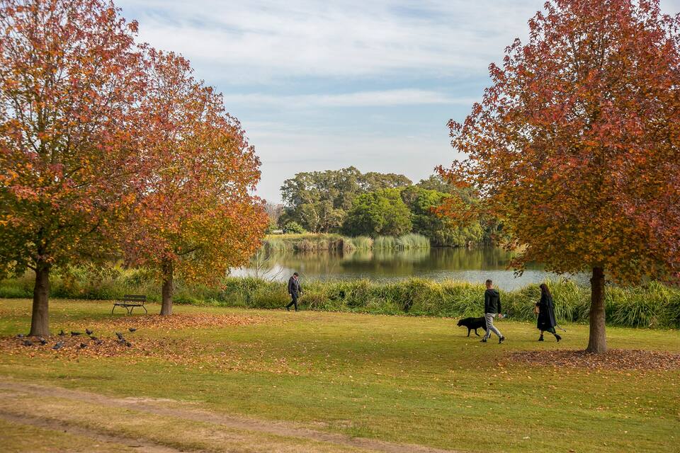 A park with autumn trees, a lake, and people walking.