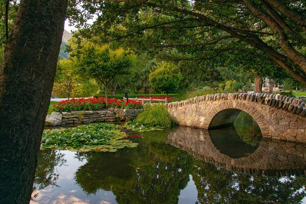 Queenstown Gardens which includes a bridge and a pond