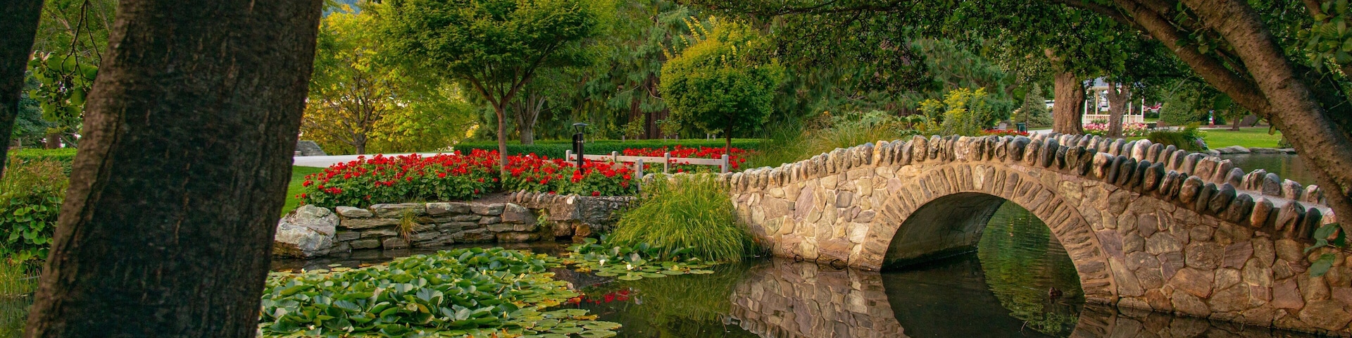 Queenstown Gardens which includes a bridge and a pond