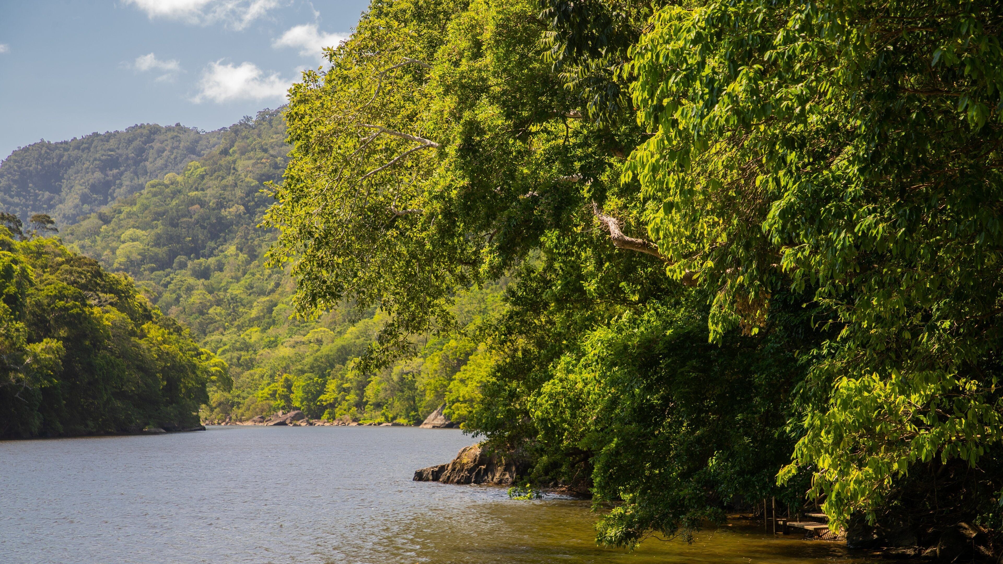 A calm lake surrounded by dense green forest and hills.