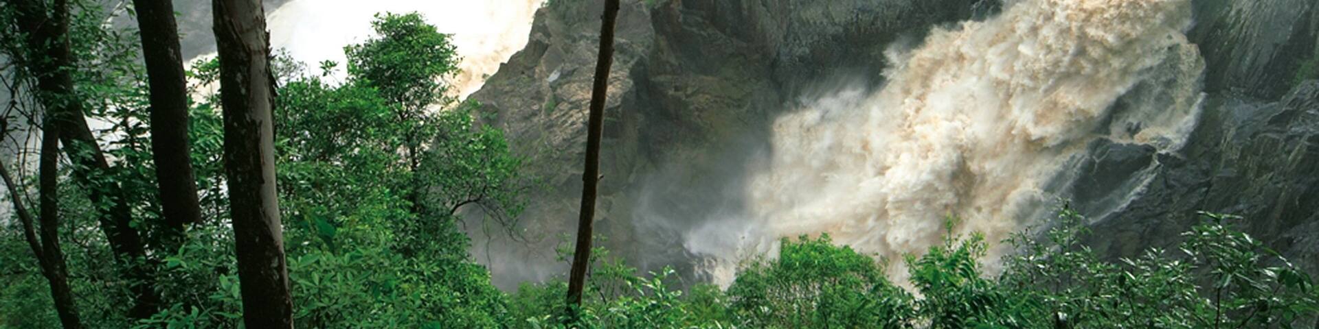 A waterfall cascading down a rocky cliff surrounded by dense forest.
