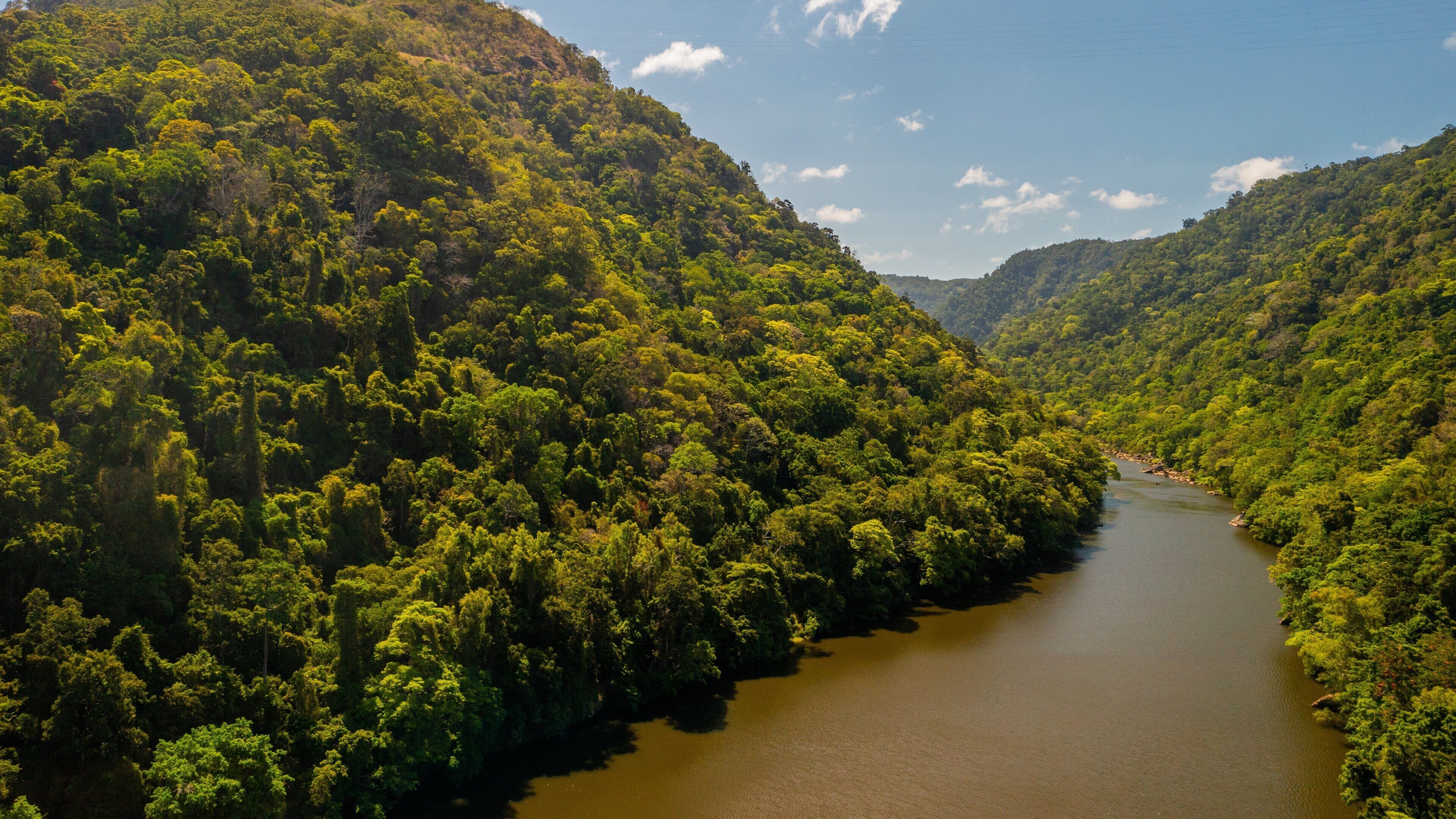 Barron Gorge National Park which includes a river or creek, tranquil scenes and forest scenes