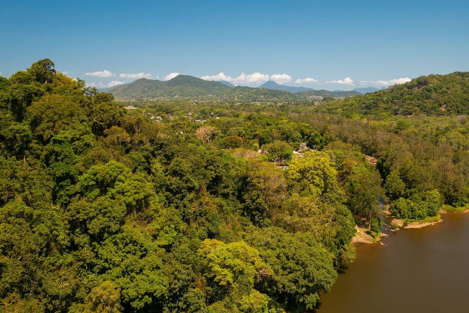 Uma floresta verdejante com um rio e montanhas ao longe.
