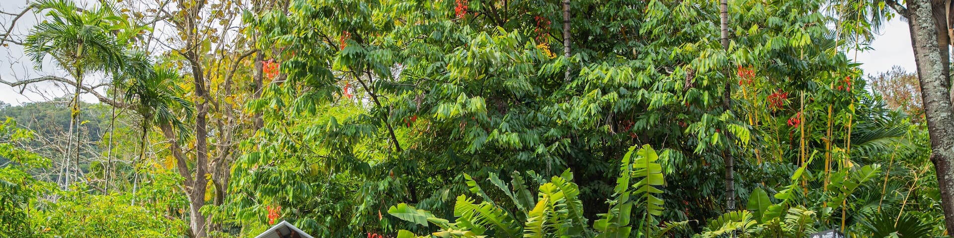 Flecker Botanic Gardens which includes a park