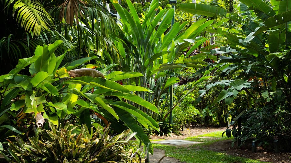 Flecker Botanic Gardens which includes a park