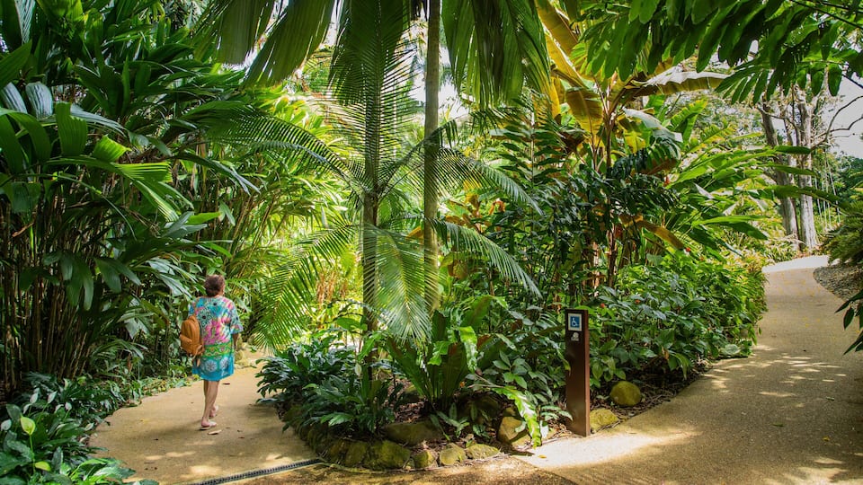 Flecker Botanic Gardens featuring a garden as well as an individual femail