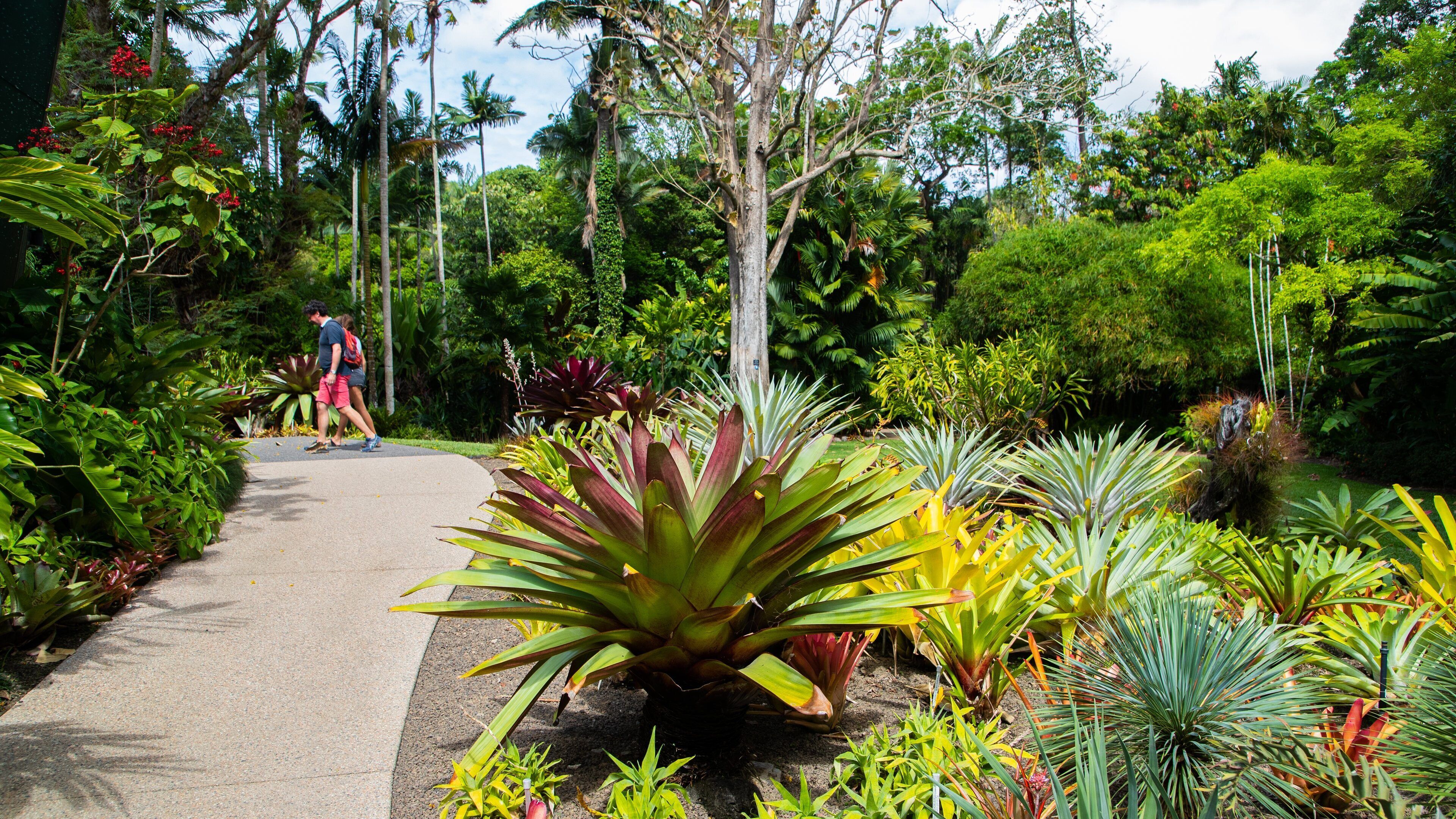 Flecker Botanic Gardens featuring a park as well as a couple