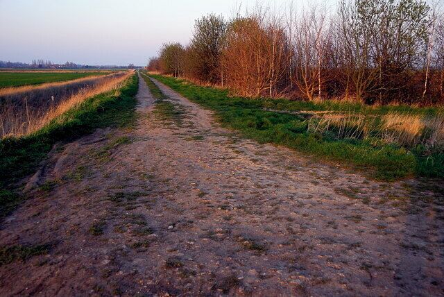 Leading Drove, Yaxley From the far western end of the drove.