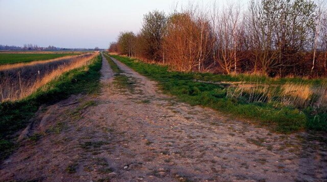 Leading Drove, Yaxley From the far western end of the drove.