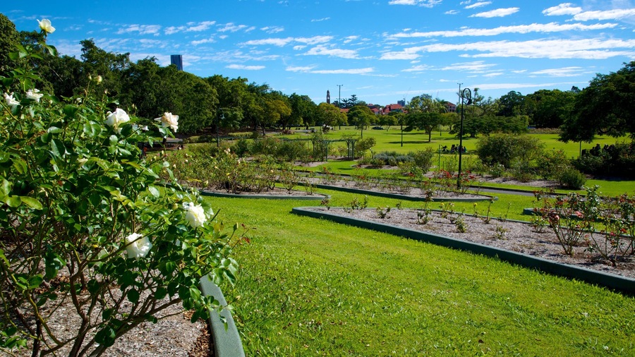 A well-maintained garden with rose bushes, neatly trimmed grass, and a variety of trees.