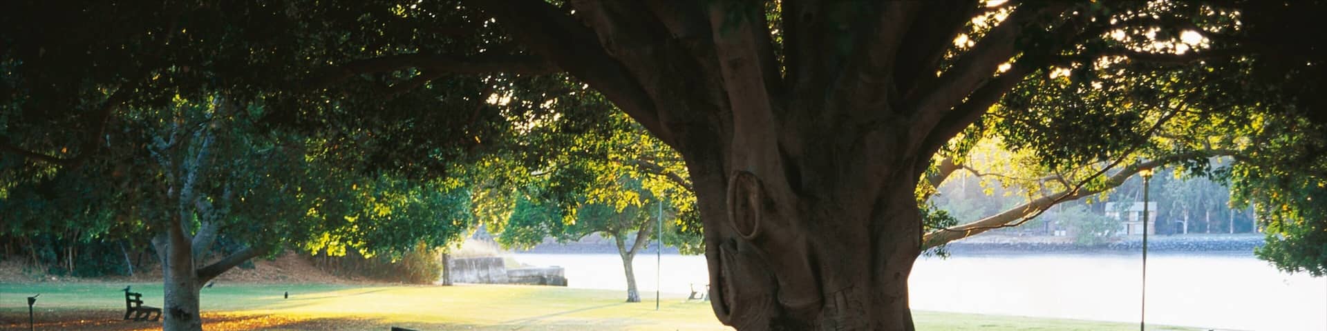 New Farm Park which includes a garden