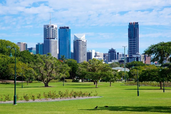 New Farm showing a high-rise building, a garden and a city