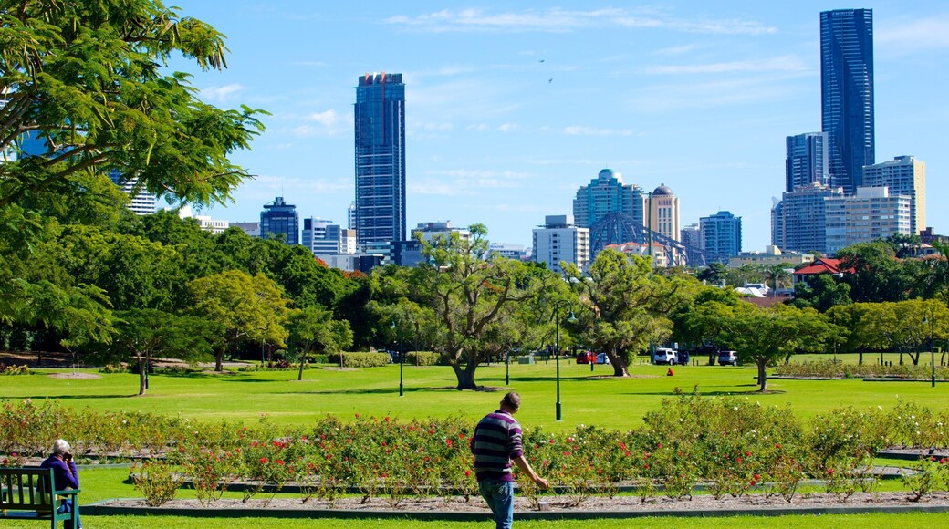 New Farm-parken som inkluderer landskap, by og blokk