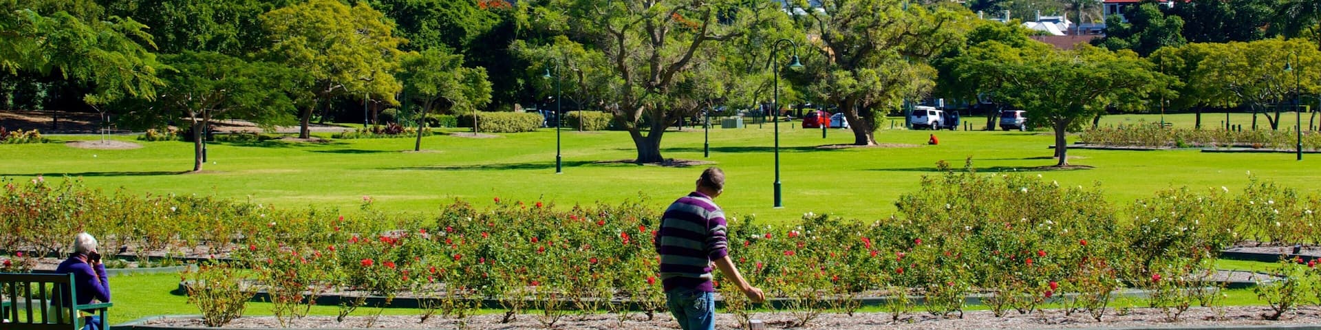 A park with green grass, trees, and a city skyline in the background.