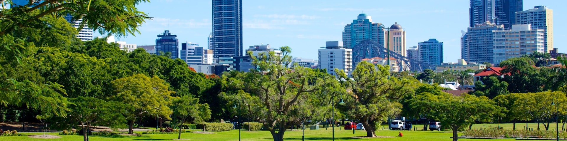 New Farm Park showing a park, landscape views and a high rise building