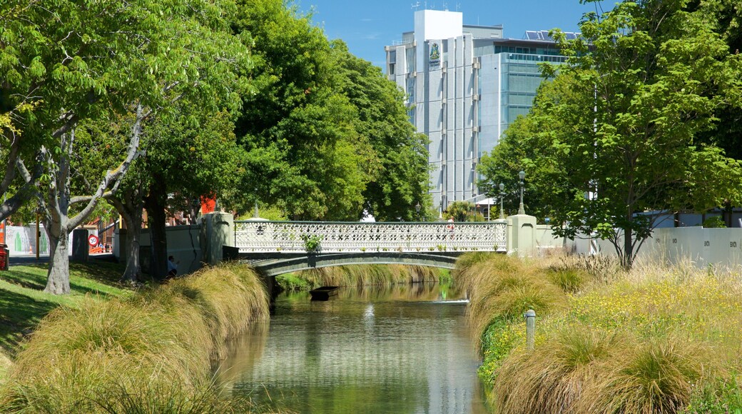 Victoria Square showing a garden and a bridge