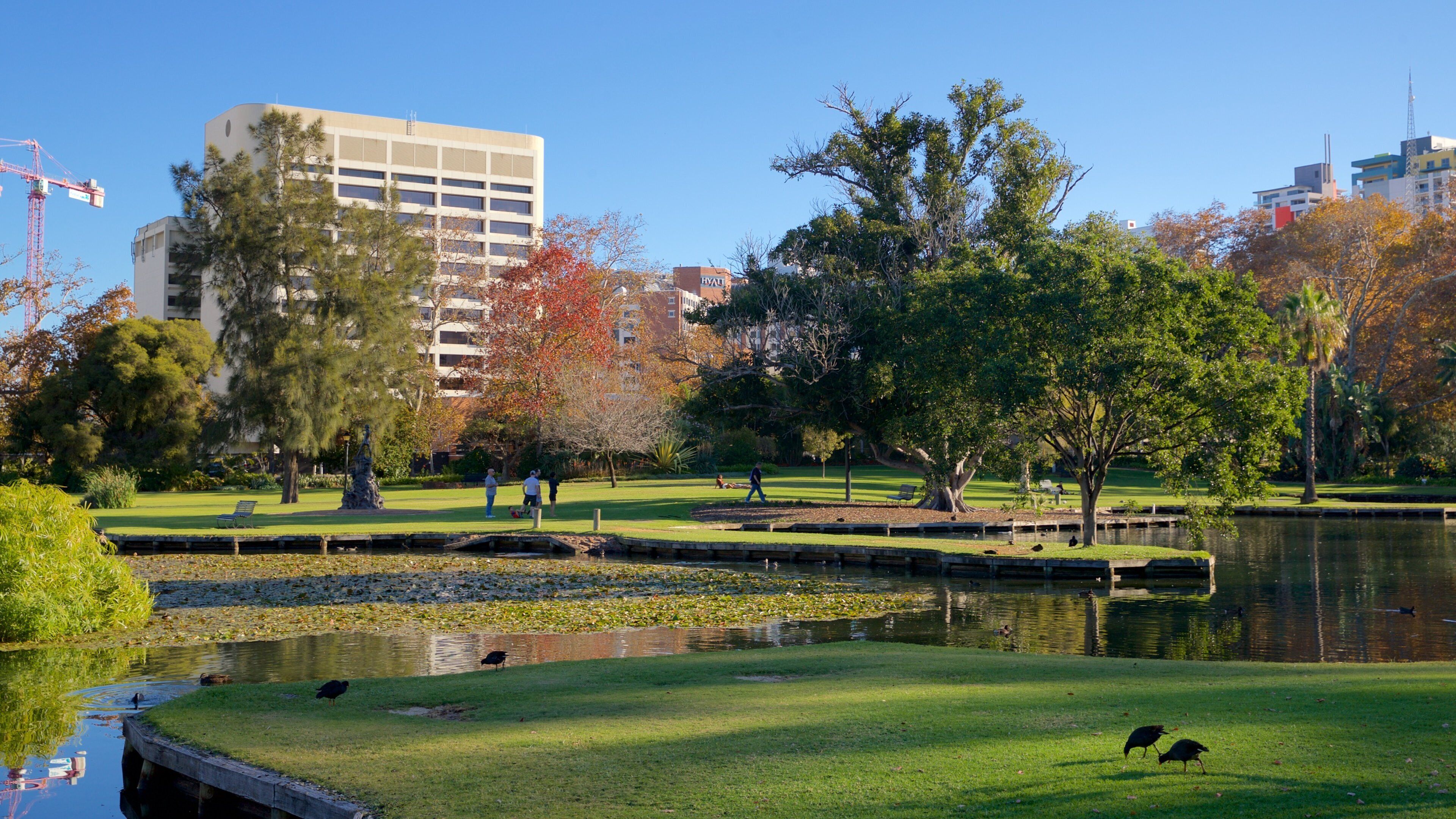 Queens Gardens featuring a park and a pond