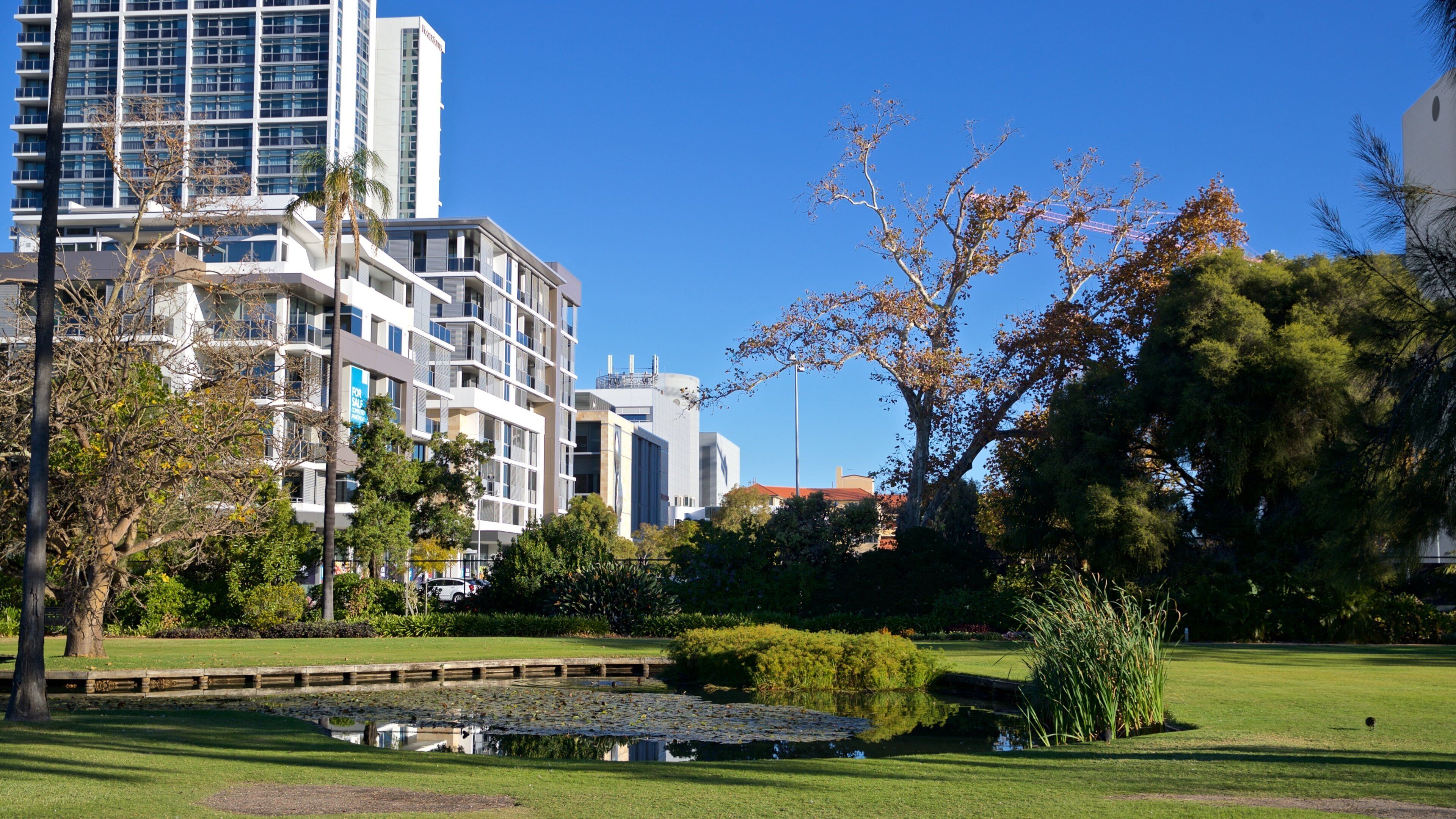 Queens Gardens showing a park and a pond