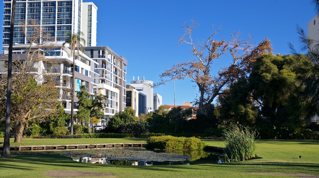 Queens Gardens showing a park and a pond